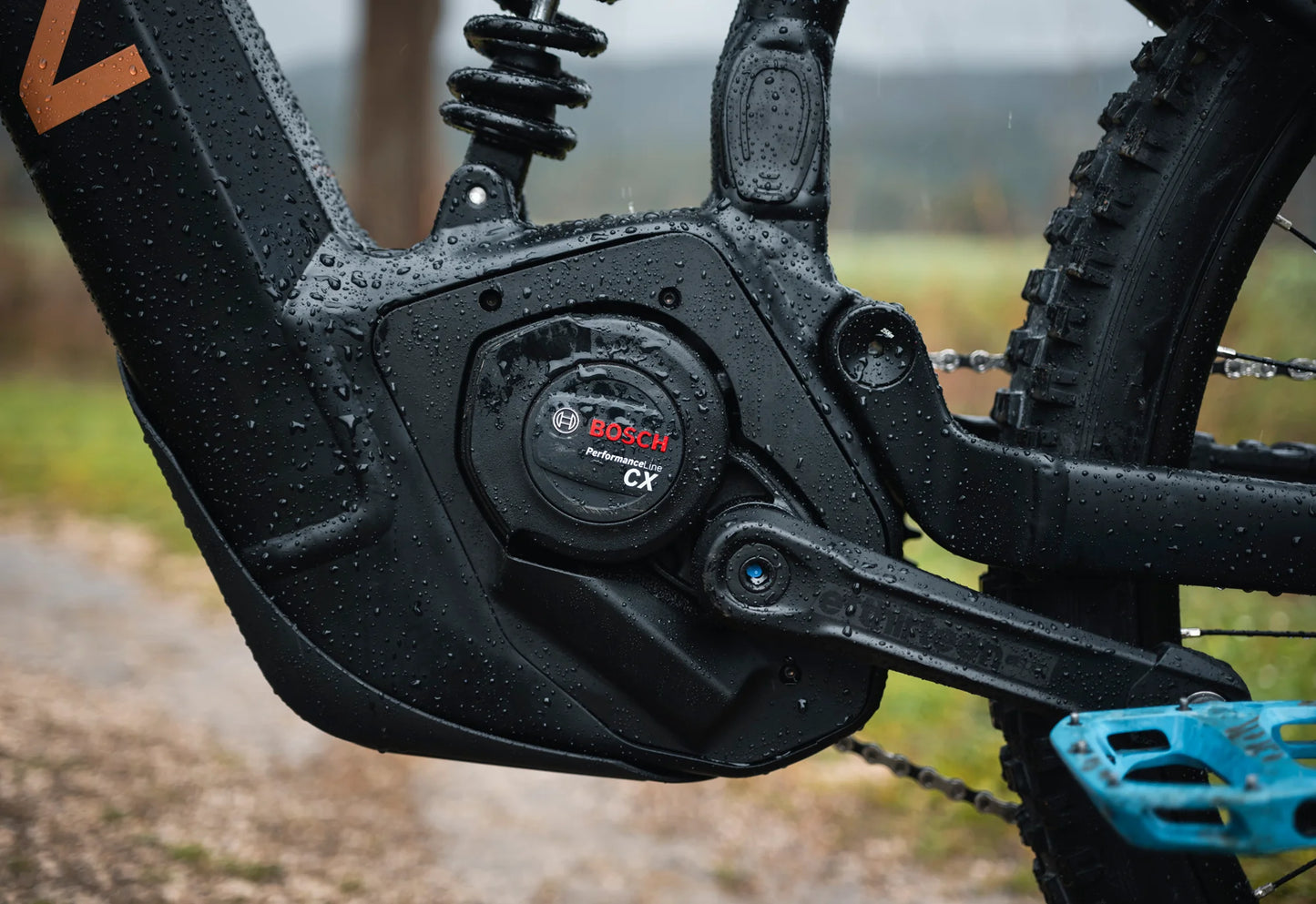 Marin Alpine Trail E1