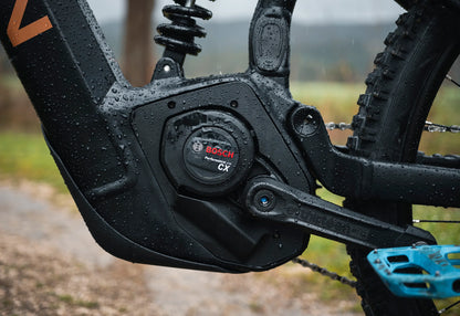 Marin Alpine Trail E1