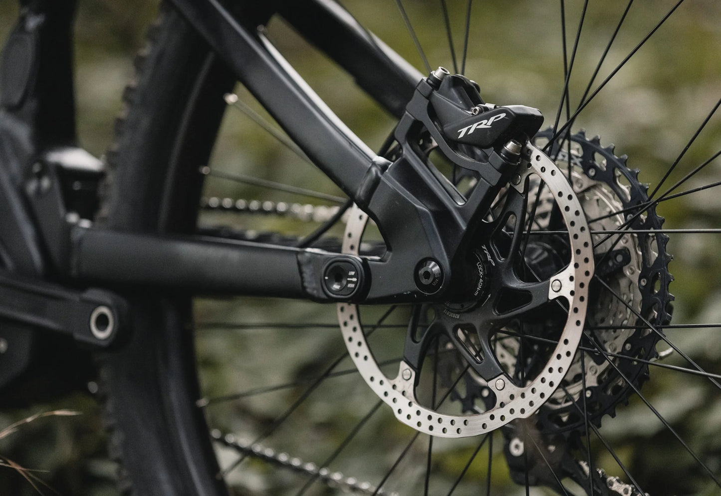 Marin Alpine Trail E1